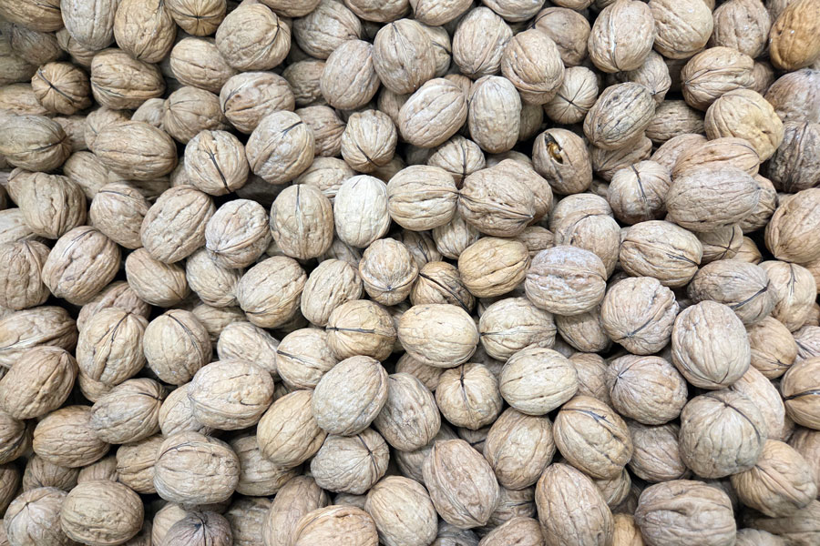 Watch as the CentriFlow Measures the flow of Whole Walnuts